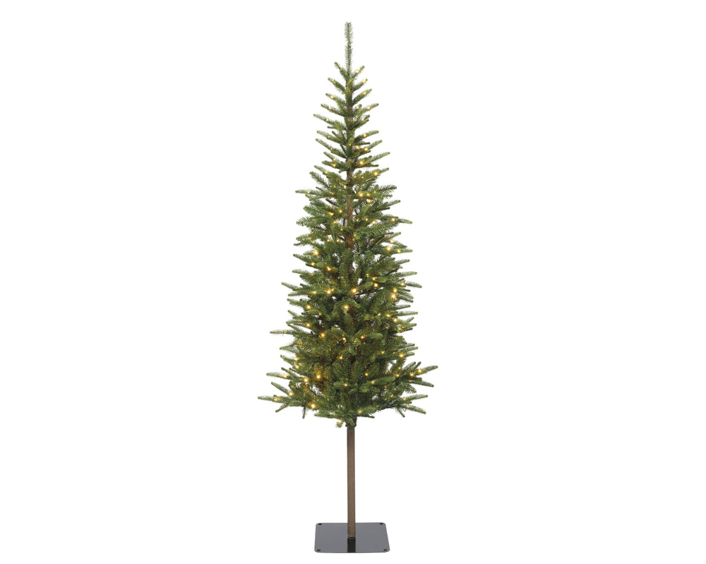 Alpbach Fir Warm White & Multi Micro LED Lights