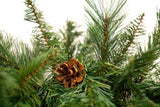 Valley Spruce Garland Unlit
