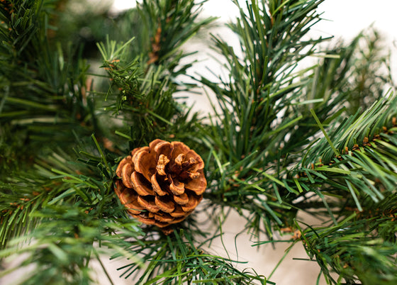 Valley Spruce Garland Unlit