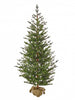 Potted evergreen tree with burlap-wrapped base on a white background.