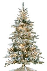 Decorated Christmas tree with lights in a room with large windows.