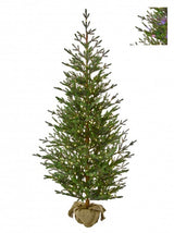 Potted Christmas tree on a white background