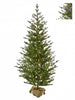 Potted Christmas tree on a white background
