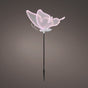 13" Soft Multi LED Butterfly With Motion