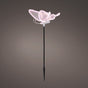 8" Soft Multi LED Butterfly With Motion