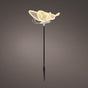 8" Warm White LED Butterfly With Motion