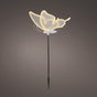 13" Warm White LED Butterfly With Motion