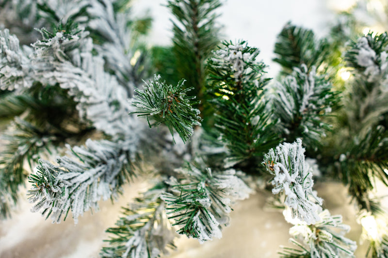 9 FT X 12" Flocked Garland Pre-lit 100 LED Clear Lights
