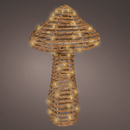 Decorative lamp shaped like a seashell with a textured surface on a dark background