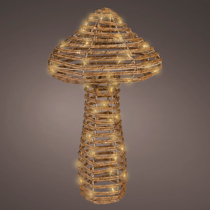 Decorative lamp shaped like a seashell with a textured surface on a dark background