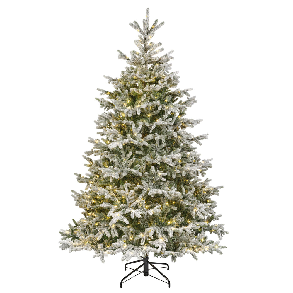 Nordmann Snowy Fir Tree Pre Lit Warm White Micro LED Lights