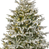 Nordmann Snowy Fir Tree Pre Lit Warm White Micro LED Lights