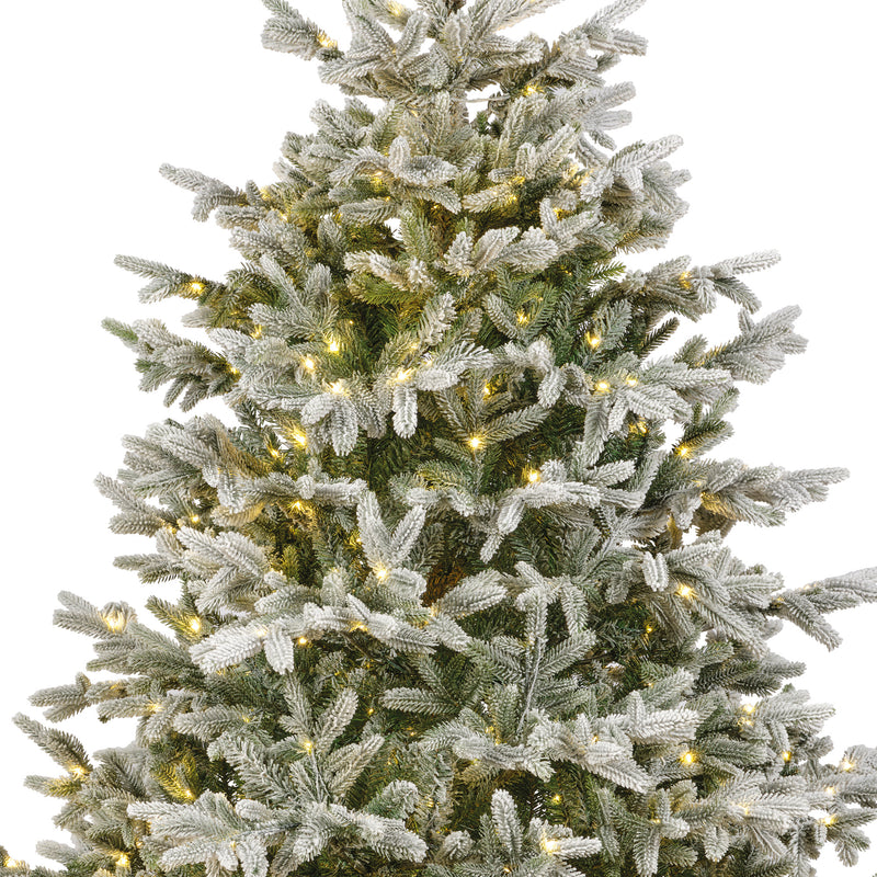 Nordmann Snowy Fir Tree Pre Lit Warm White Micro LED Lights