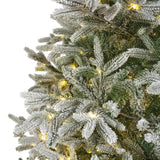 Nordmann Snowy Fir Tree Pre Lit Warm White Micro LED Lights