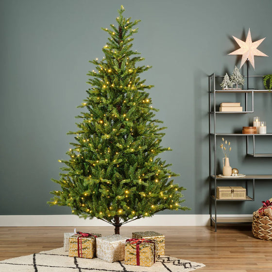 Allison Pine Tree Pre Lit Warm White & Multi LED Lights