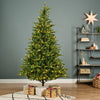 Allison Pine Tree Pre Lit Warm White & Multi LED Lights