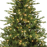 Greenhill Fir Tree Pre Lit Soft Warm LED Lights