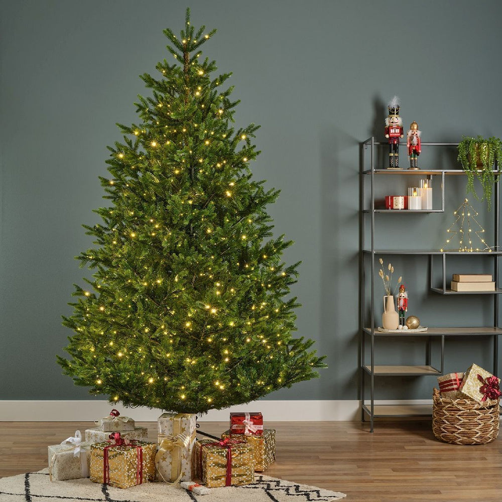 Nordmann Fir Tree Pre-Lit Warm White LED Lights With Twinkle Effect