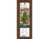 Everlands Christmas tree packaging with a wooden border