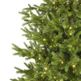 Close-up of a Christmas tree with lights on a white background