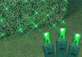 100 LED Green Net Lights With Green Wire