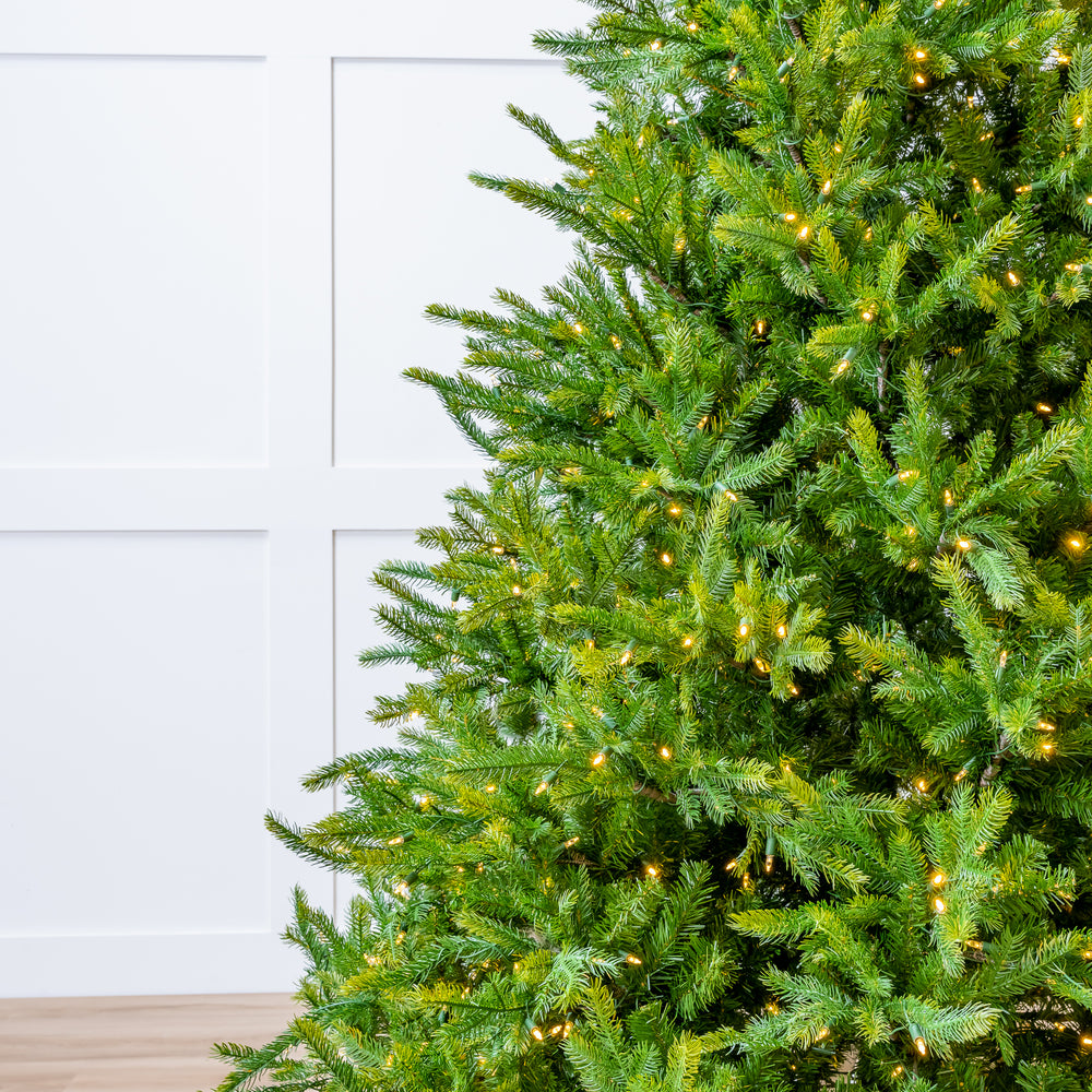Telluride Fir Pre-Lit Warm White LED Lights