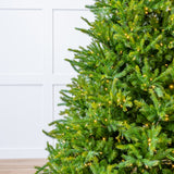 Decorated Christmas tree with lights against a white wall