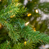 Close-up of Christmas lights on a tree branch with blurred lights in the background