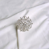 Clear, Silver Jeweled Napkin Ring Set of 4