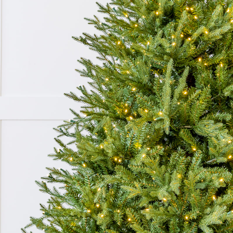 Green artificial Christmas tree with lights on a white background