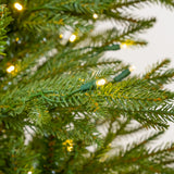 Close-up of a Christmas tree with lights on a white background