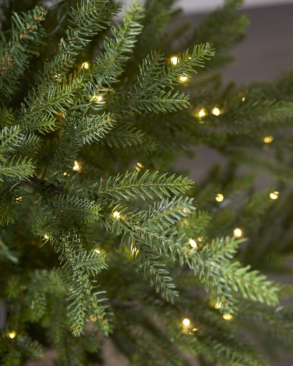 Norway Spruce Tree Pre Lit Warm White Micro LED Lights