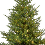 9 FT Norway Spruce Tree Pre Lit Warm White Micro LED Lights