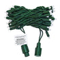 50 LED 5MM Dynamic RGB Lights With Green Cord