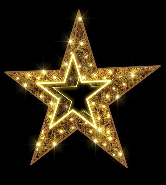 3 FT Warm White LED Star – The Christmas Palace
