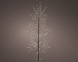 5 FT 1350 LED Warm White Micro Tree With Black Trunk