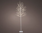 6 FT 720 LED Warm White Micro Tree With White Trunk