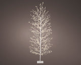 6 FT 1755 LED Warm White Micro Tree With White Trunk