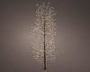 Árbol con micro luces LED cálidas de 1,8 m y 1755 luces, con tronco negro