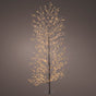 6 FT Micro Tree Classic Warm LED With Black Trunk