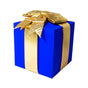 18" Blue Nylon Gift Box