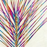 26.5" Rainbow Spray Set Of 12