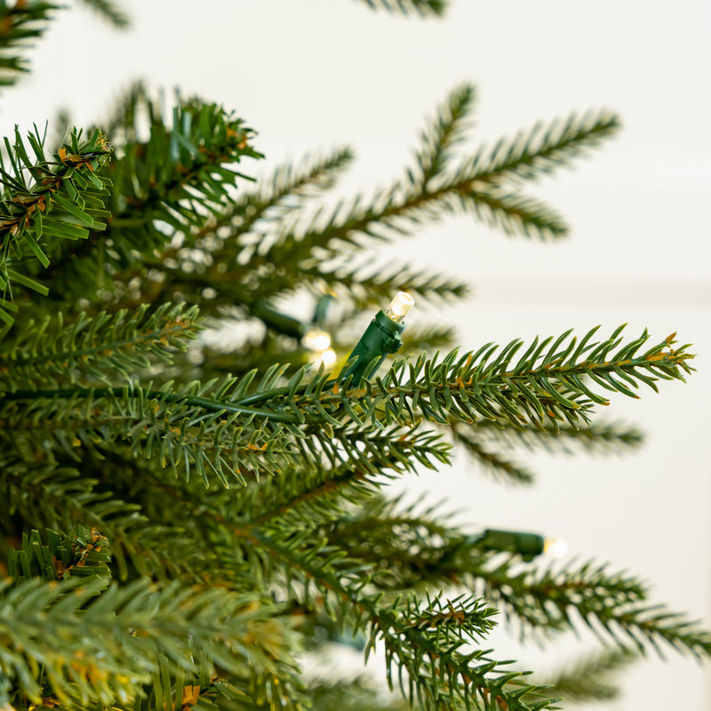 Kentucky Fir Tree Pre-Lit Pure White LED Lights