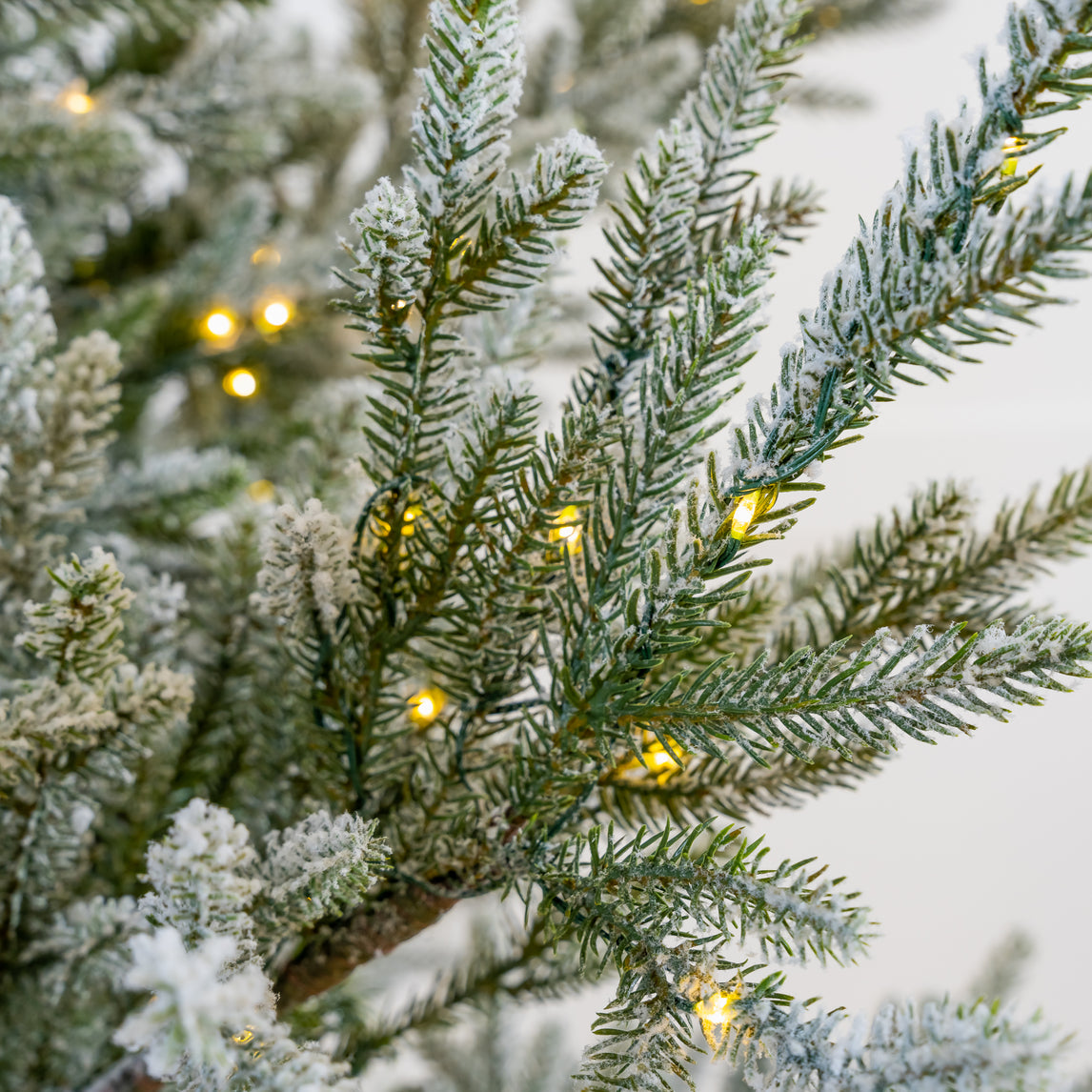 Norway Spruce Snowy Pre-Lit Warm White LED Lights