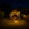 37" LED Thanksgiving Turkey
