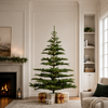 Nobilis Fir Tree Unlit