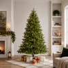 6 FT Sunpeaks Fir Tree Pre-Lit Warm White Micro LED Lights
