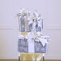 Silver Gift Box Decor Bundle