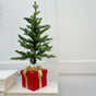 3 FT Allison Pine Pottable Tree With Red Gift Box Base