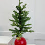 3 FT Allison Pine Pottable Tree With Red Ornament Base